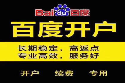 如何在百度上通过SEO实现精准推广？——案例分享